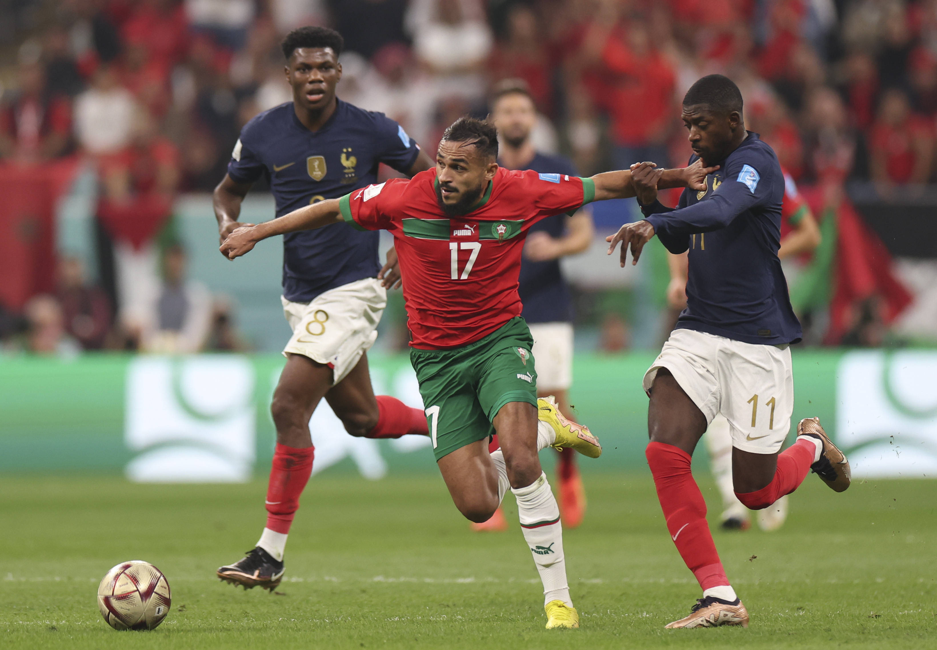 仅是球员能 仅是球员能