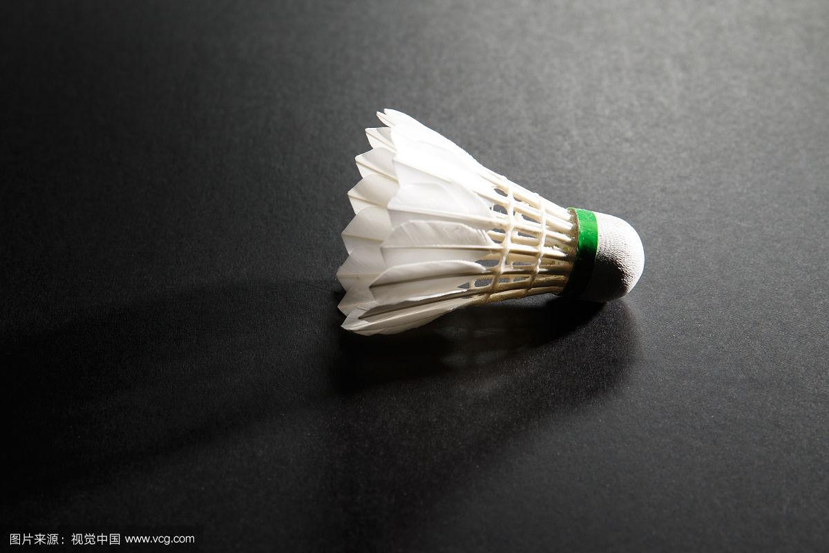 穆迪稳定的 穆迪稳定的