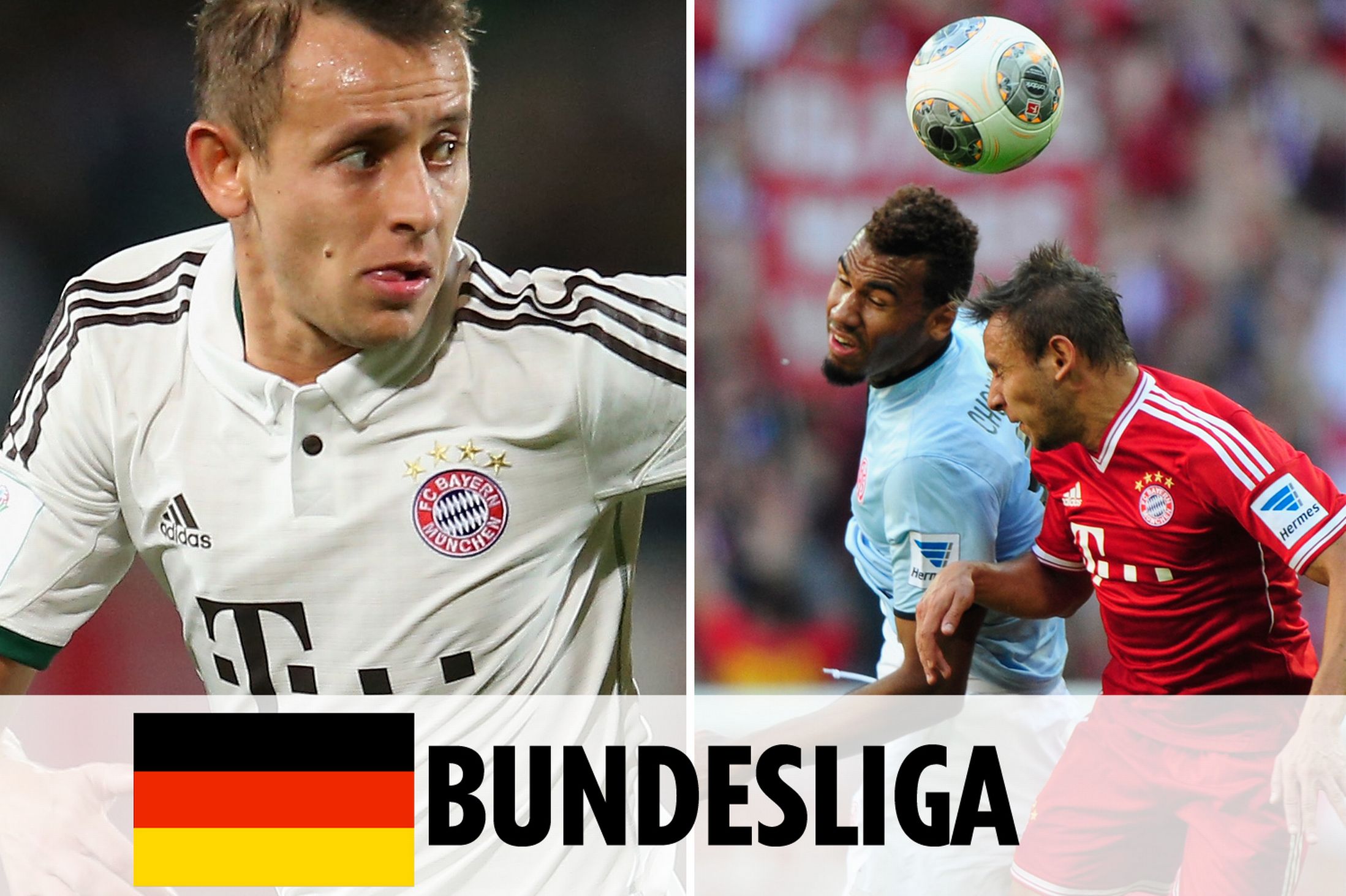 新星如何在 新星如何在